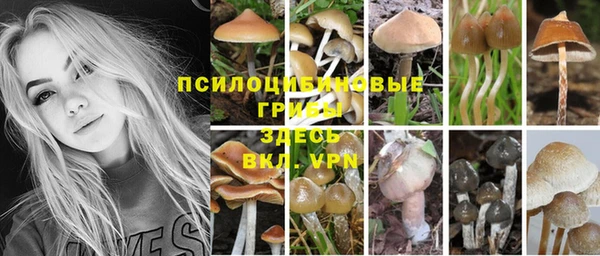 соль ск Алексеевка