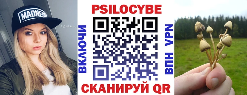 Псилоцибиновые грибы GOLDEN TEACHER  где купить наркотик  Луза 