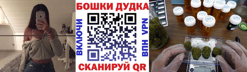 где купить   Луза  Конопля OG Kush 